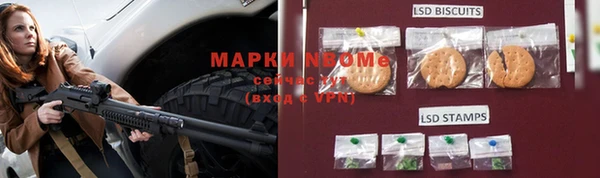 ПСИЛОЦИБИНОВЫЕ ГРИБЫ Алзамай