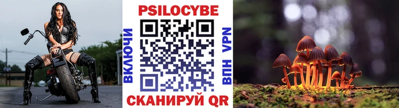 закладка  Красноармейск  Галлюциногенные грибы мухоморы 