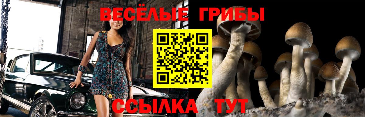 Красноармейск  Галлюциногенные грибы Magic Shrooms  Вход с VPN 